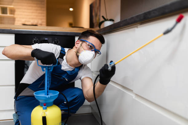 Best Pest Inspection Near Me  in Elk Mound, WI