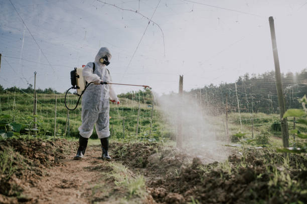 Best Local Pest Control Services  in Elk Mound, WI