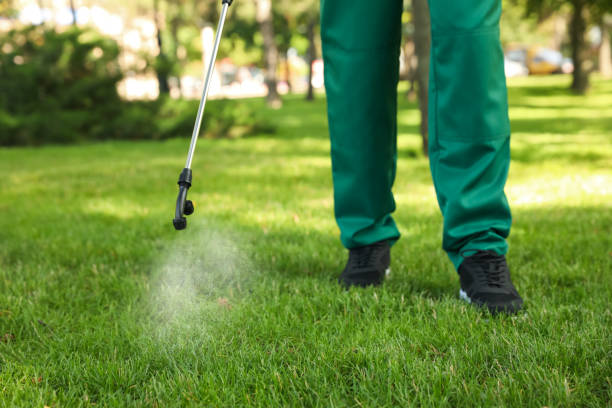 Best Pest Prevention Services  in Elk Mound, WI