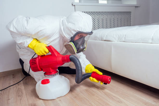 Professional Pest Control in Elk Mound, WI