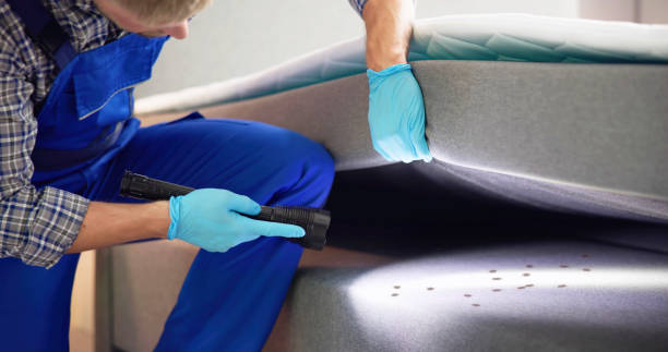 Best Residential Pest Control  in Elk Mound, WI