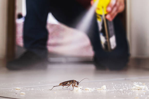 Best Best Pest Control Companies  in Elk Mound, WI